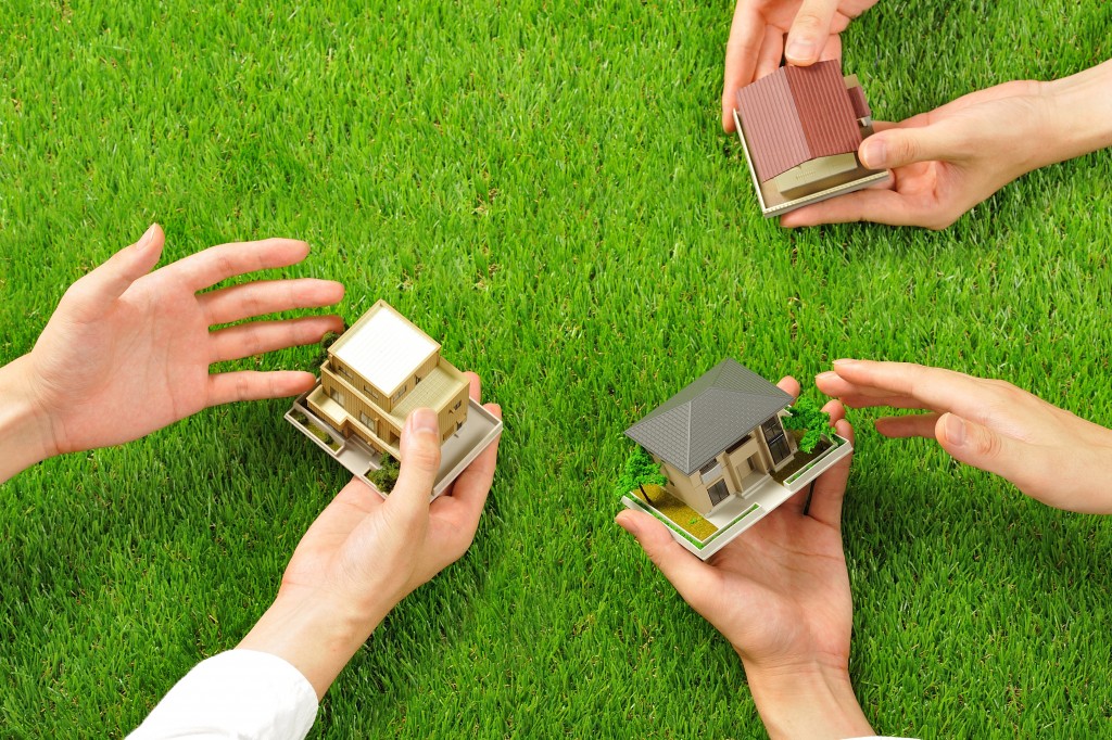 holding miniature houses