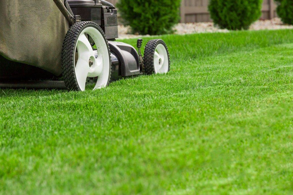 Lawnmower on grass