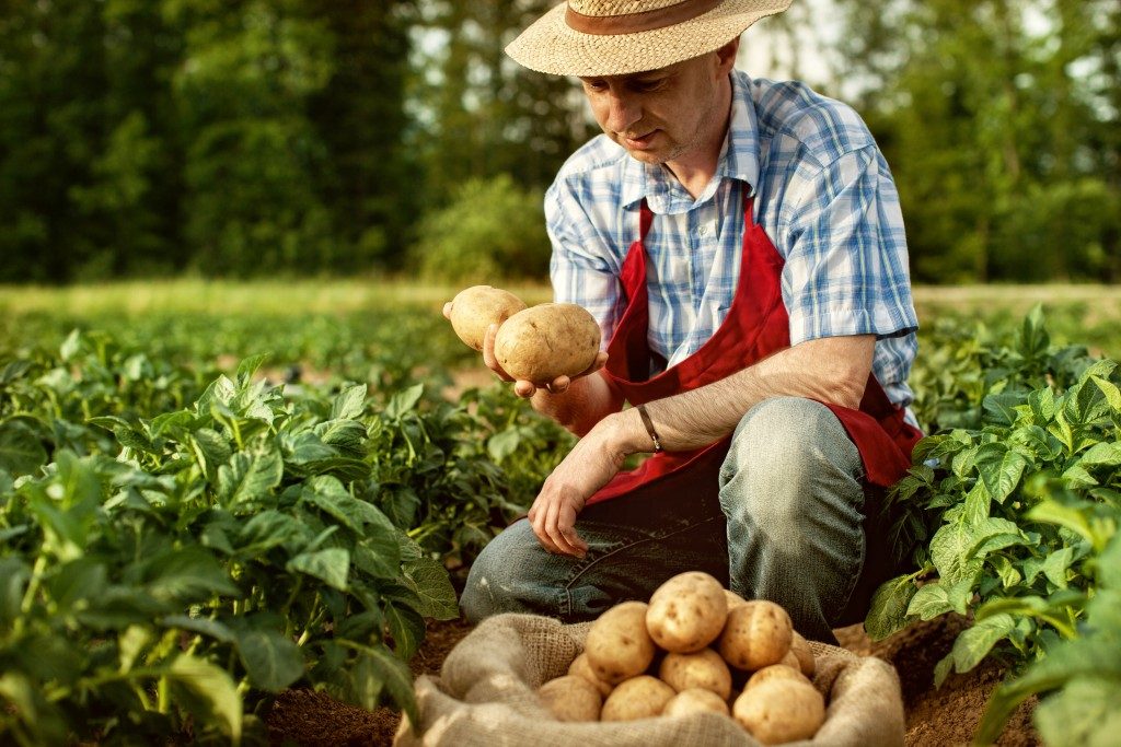 farmer