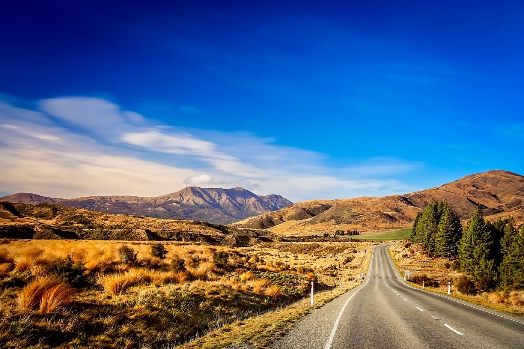 Road through New Zealand