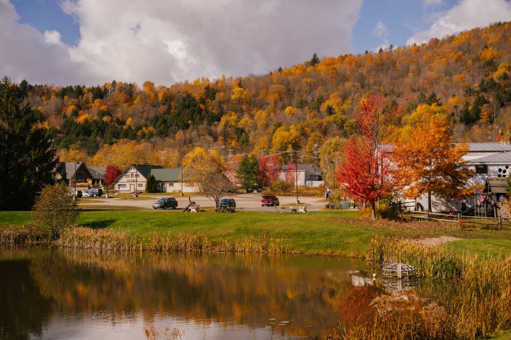 a neighborhood by a lake