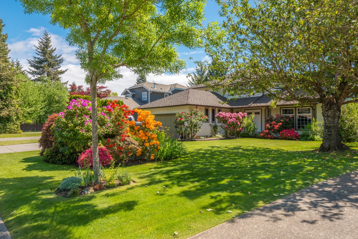 flowers on a lawn