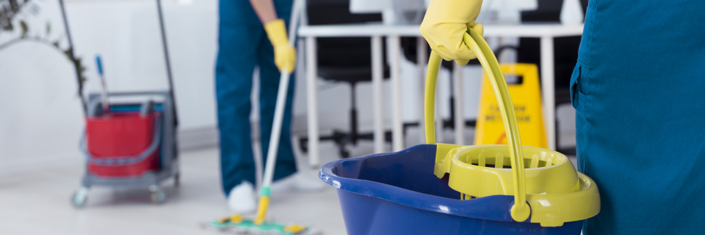 cleaning professionals