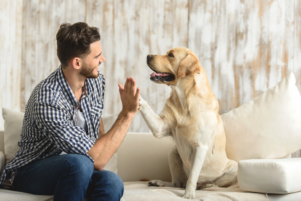 man with dog in the couch