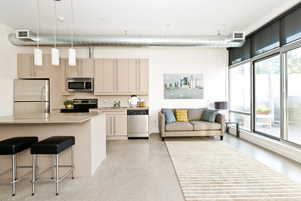 Kitchen and living room of loft apartment