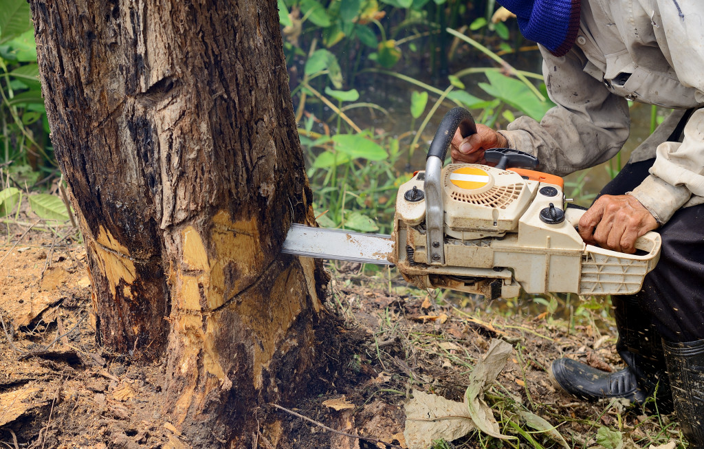 Promoting Sustainable Forestry Practices - Arivaca Connection