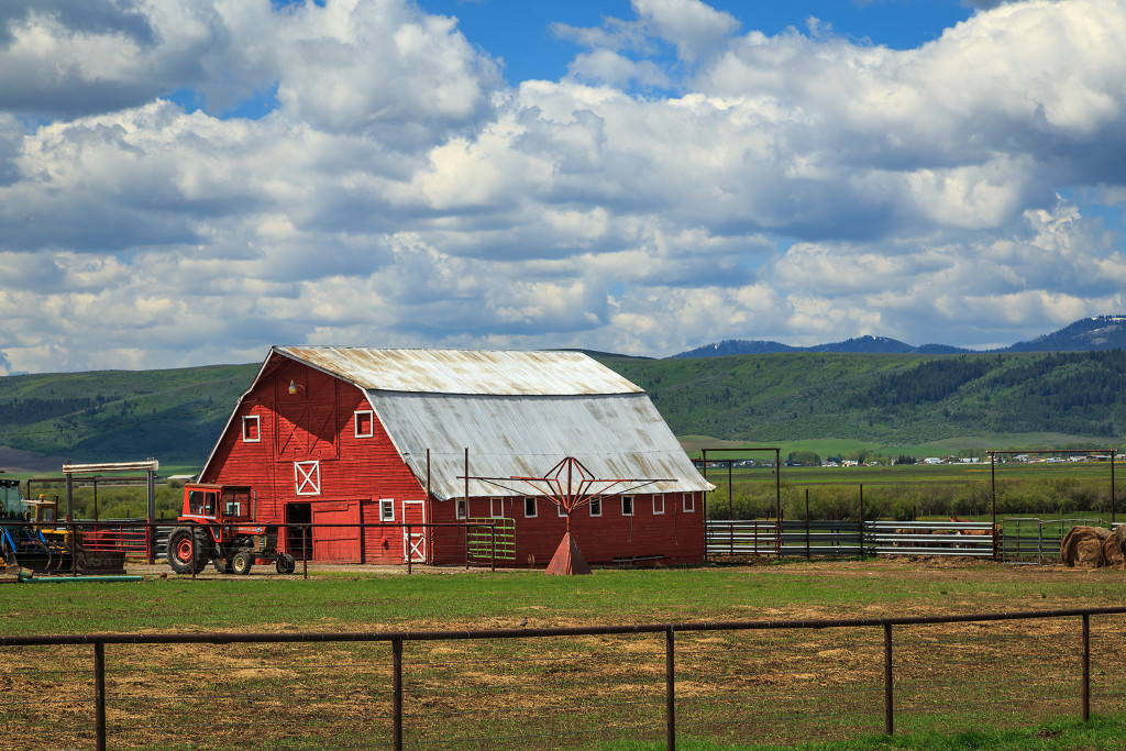 Starting a farm business