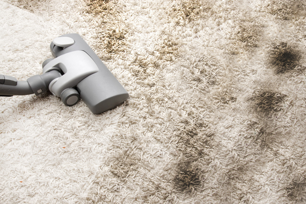 Using a vacuum to clean a dirty carpet