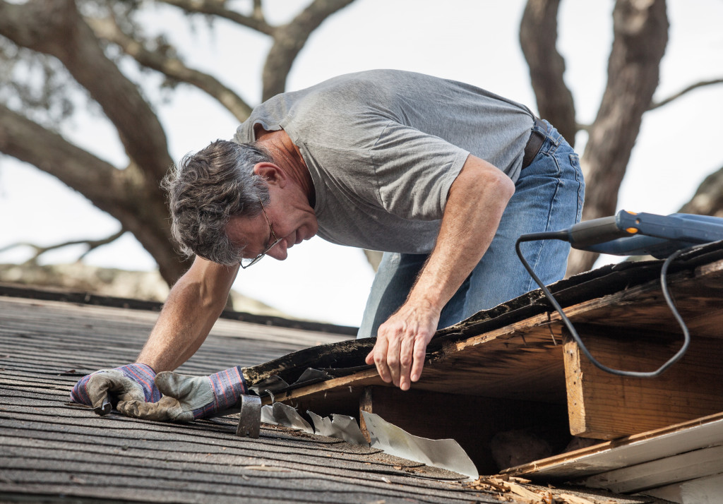 After removing fascia boards he has discovered that the leak