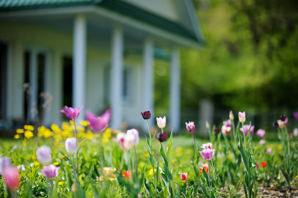 different colored flowers in a flower bed outside a house