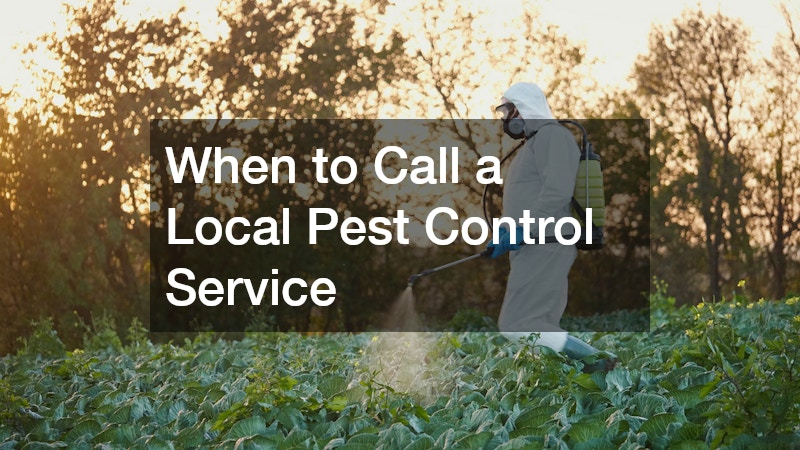 When to Call a Local Pest Control Service