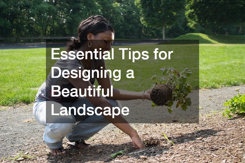 Essential Tips for Designing a Beautiful Landscape